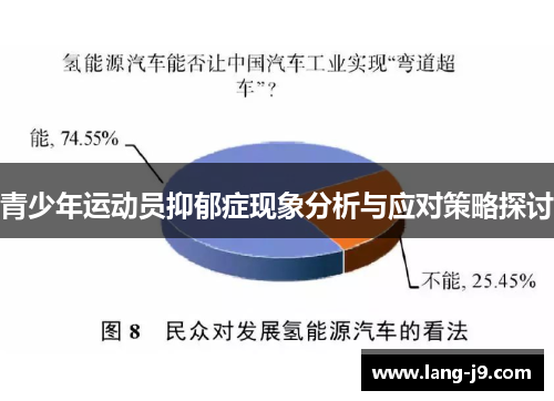 青少年运动员抑郁症现象分析与应对策略探讨 青少年运动员抑郁症现象分析与应对策略探讨
